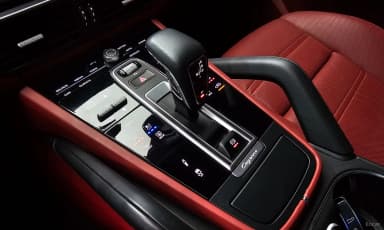 Cayenne (PO536)