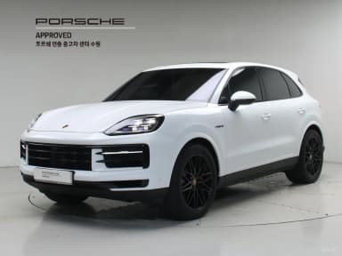 Cayenne (PO536)