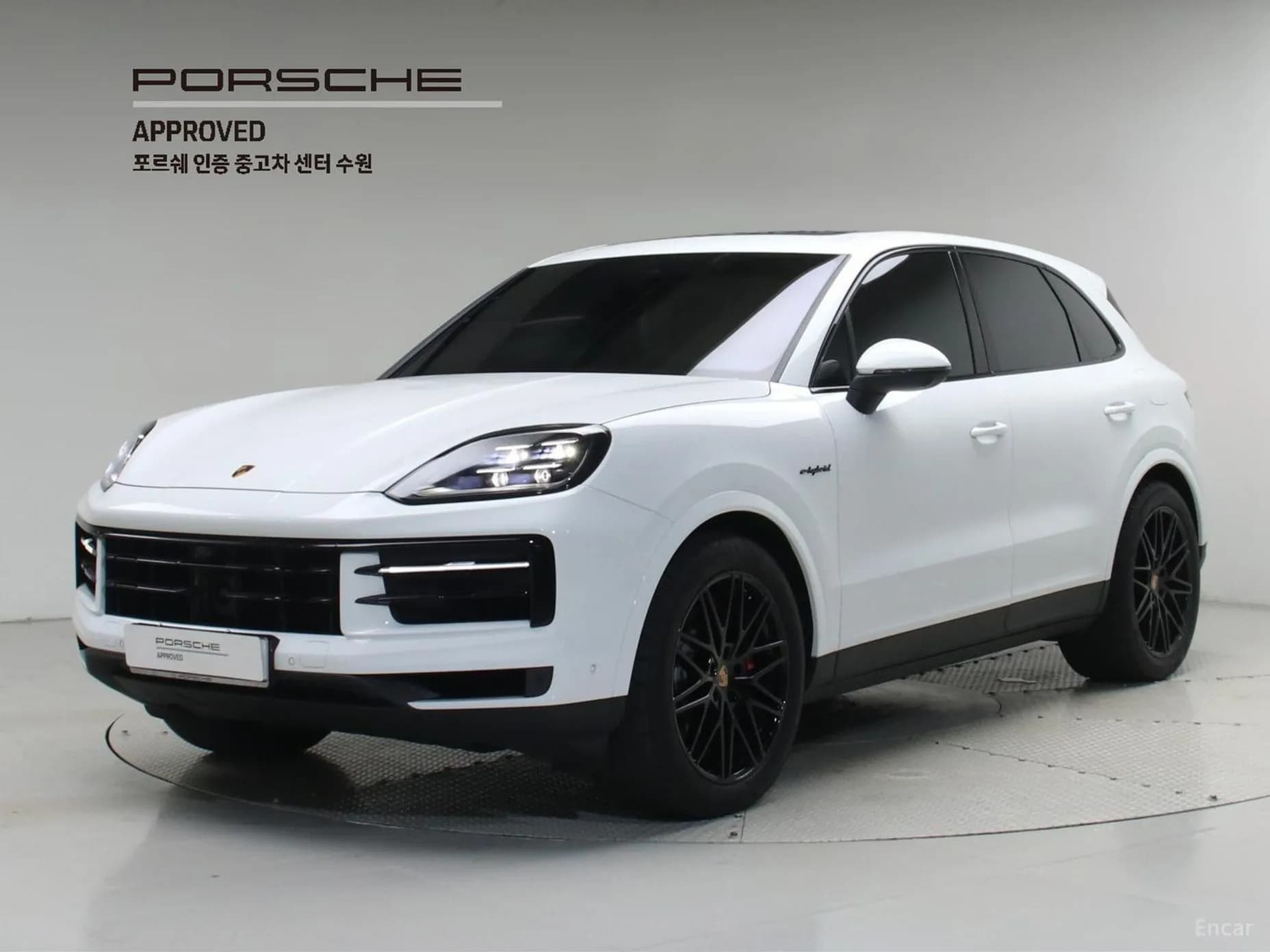 Cayenne (PO536)