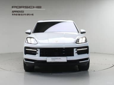Cayenne (PO536)