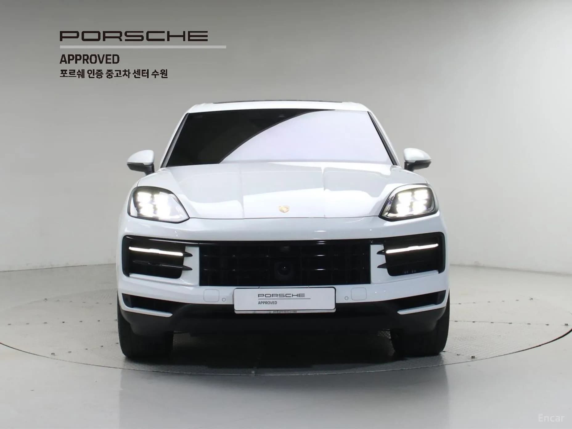 Cayenne (PO536)
