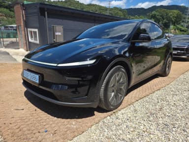 Model Y