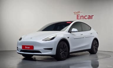 Model Y
