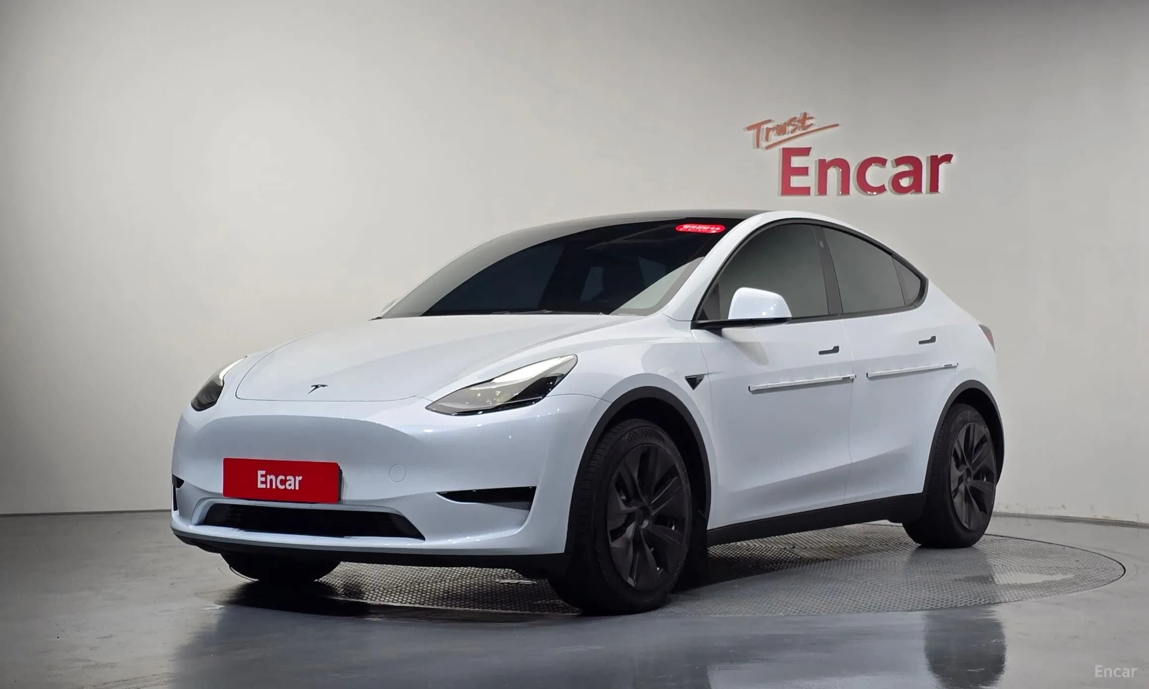 Model Y