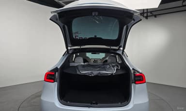 Model Y