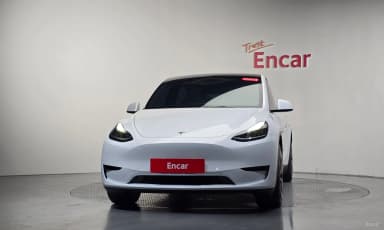 Model Y