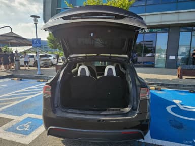 Model X