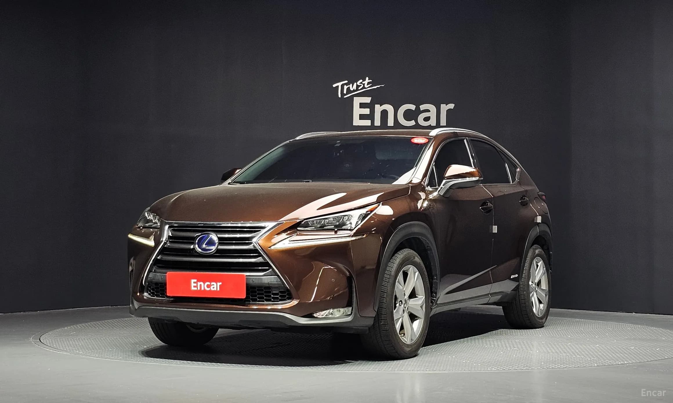 NX300h