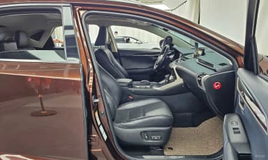 NX300h