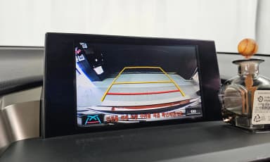 NX300h