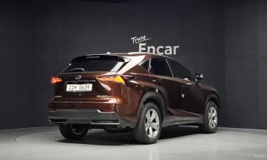 NX300h