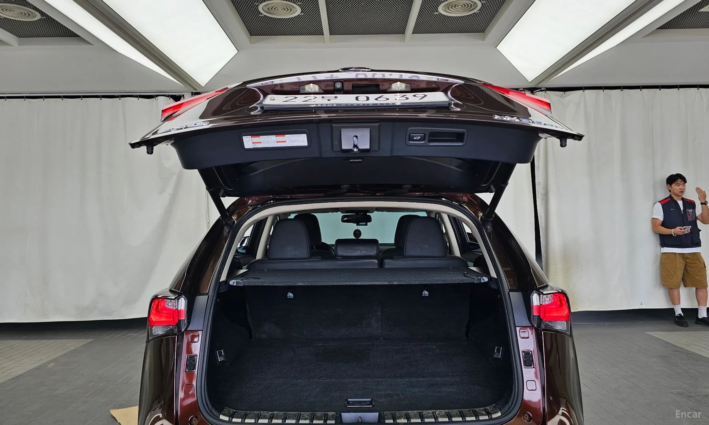 NX300h