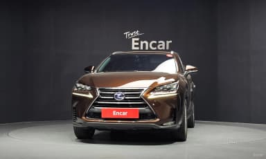 NX300h