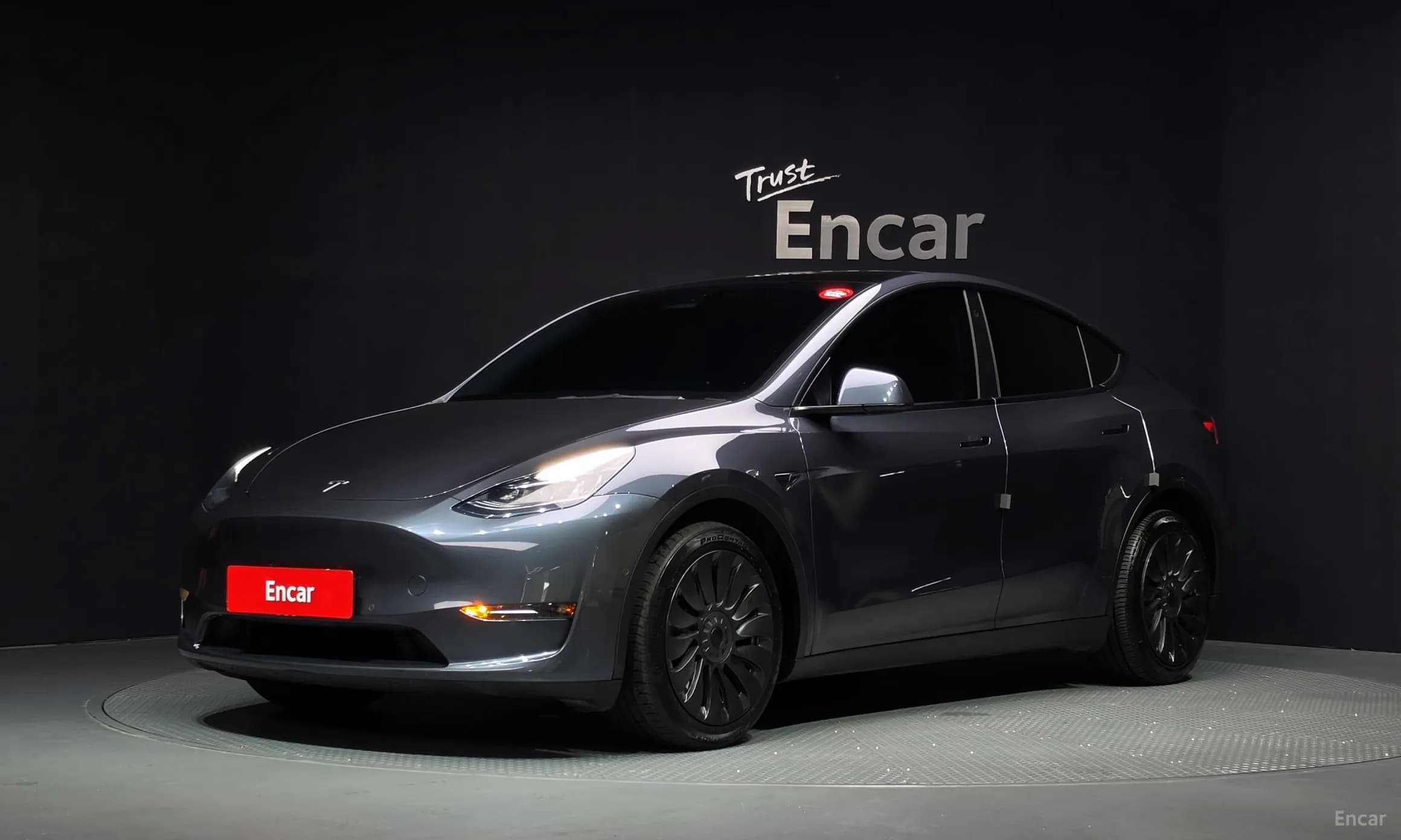 Model Y