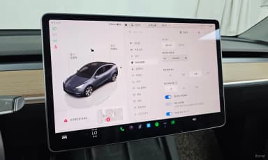 Model Y