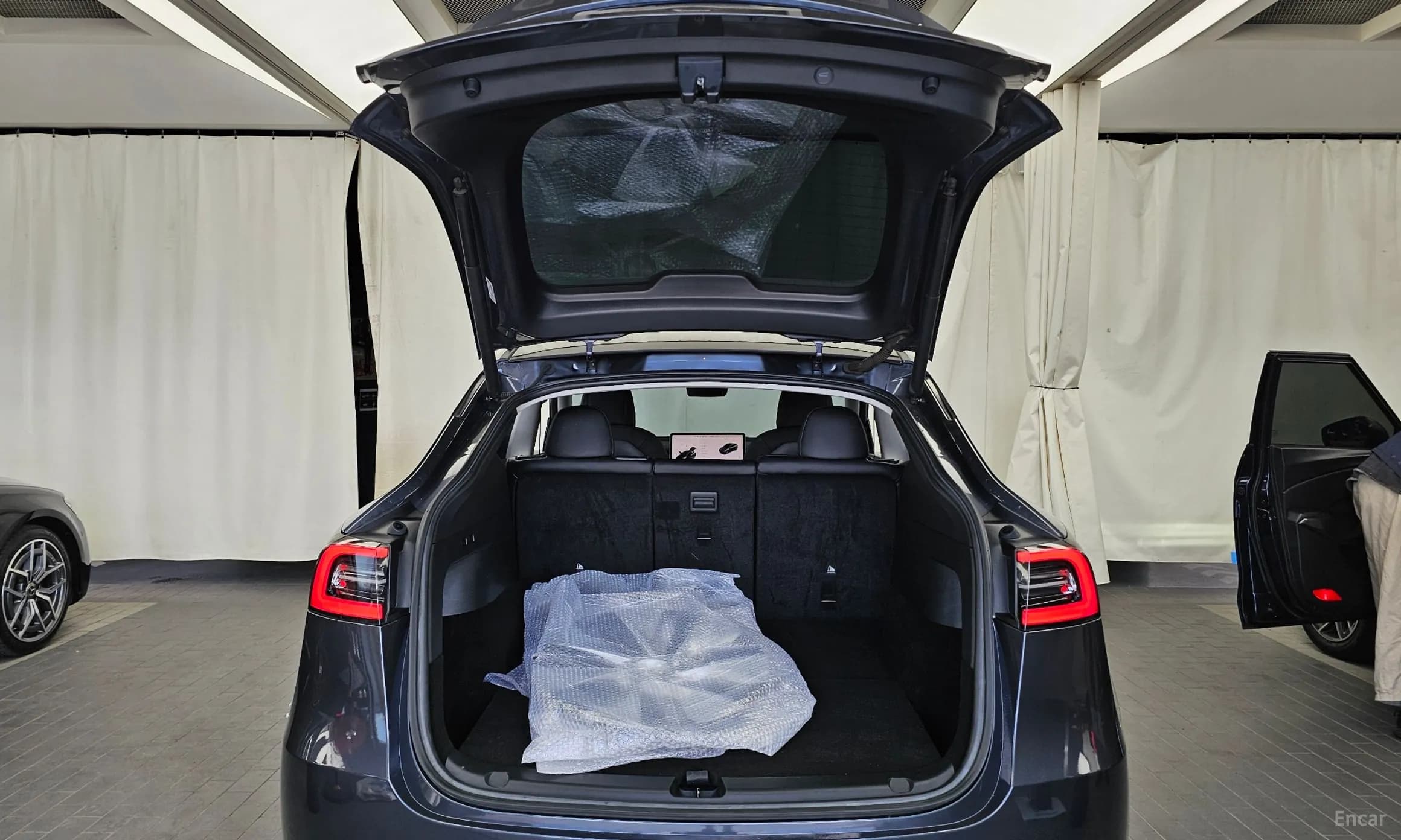 Model Y