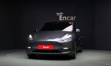 Model Y