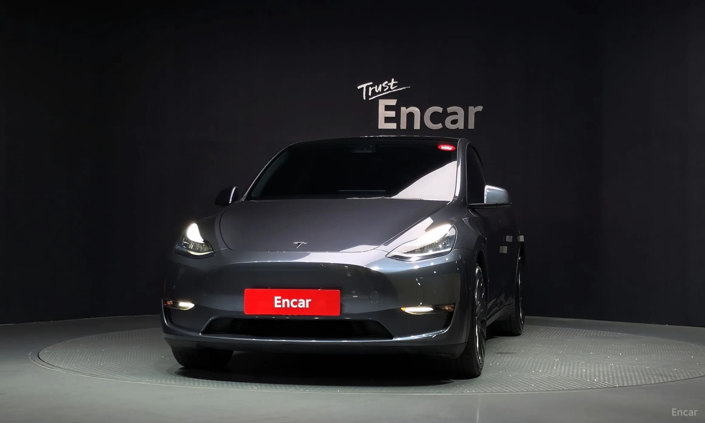 Model Y