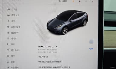 Model Y