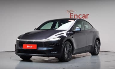 Model Y