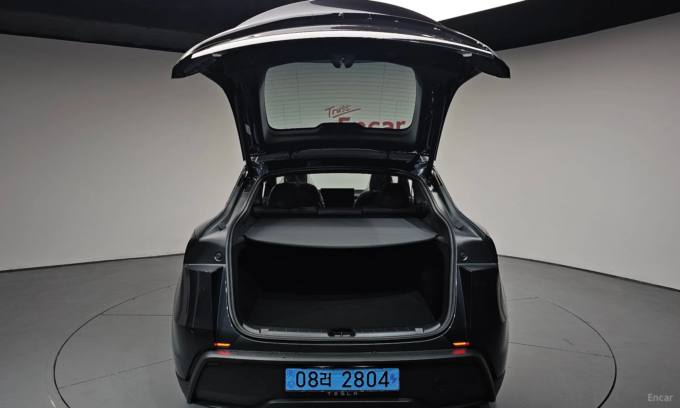 Model Y