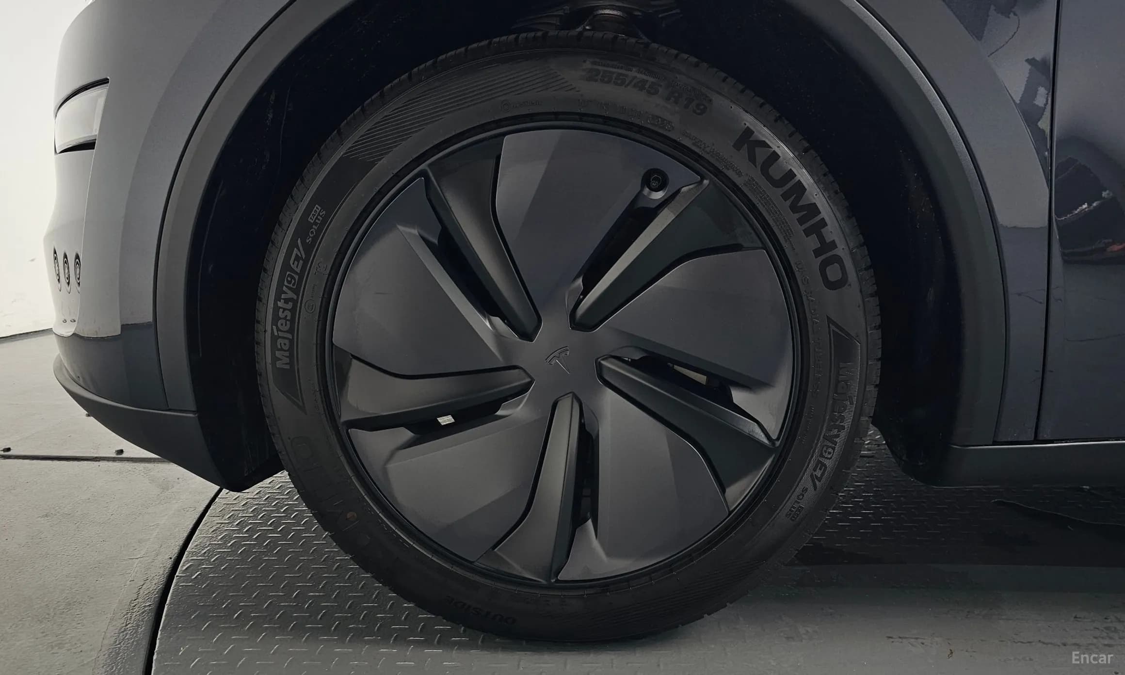 Model Y