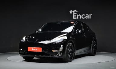 Model Y