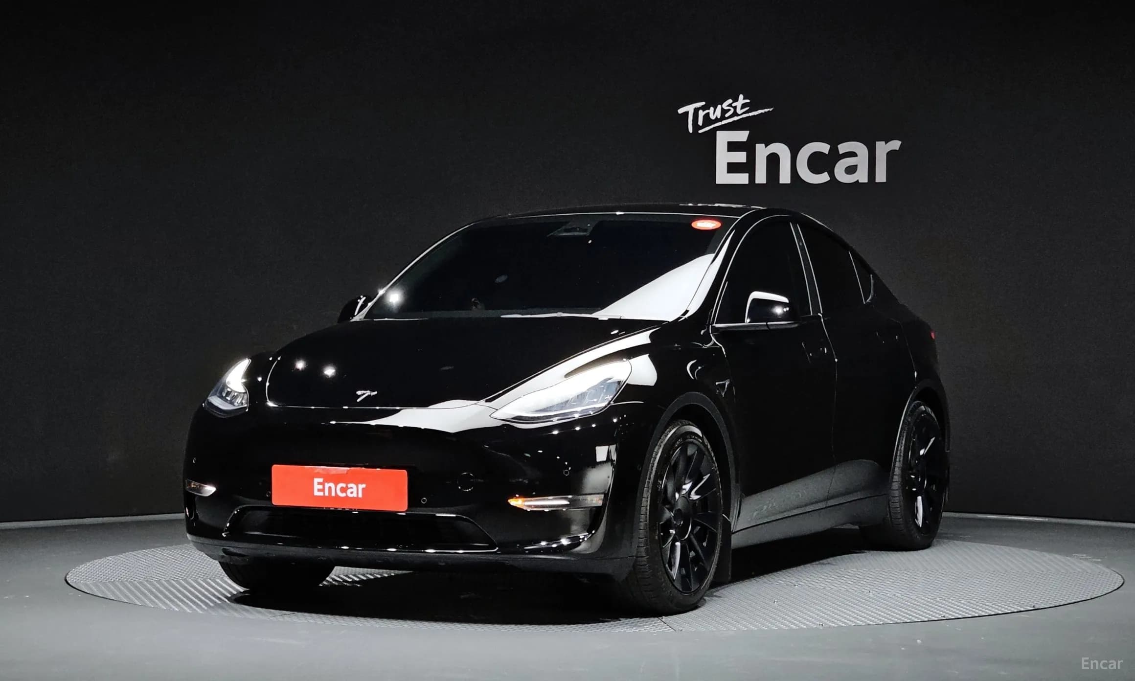 Model Y