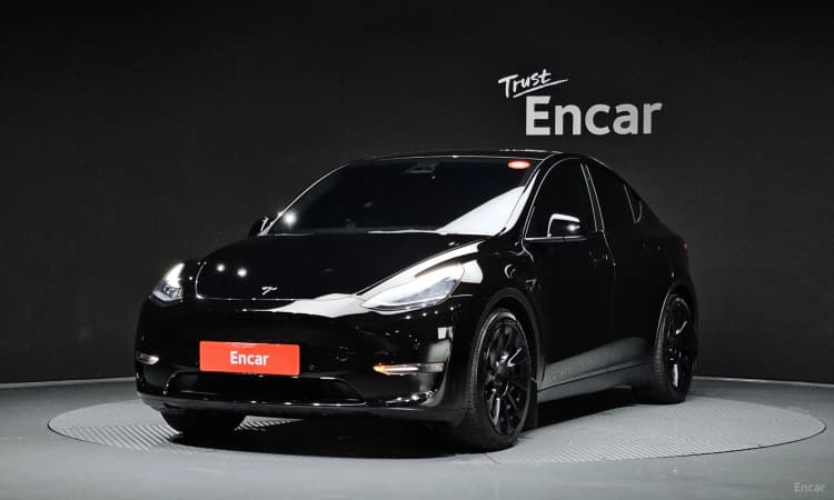 Model Y