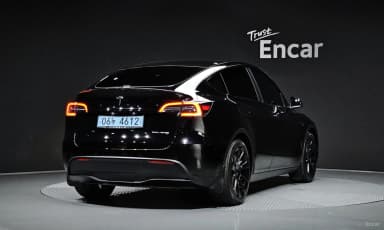 Model Y