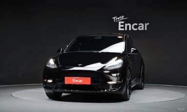 Model Y