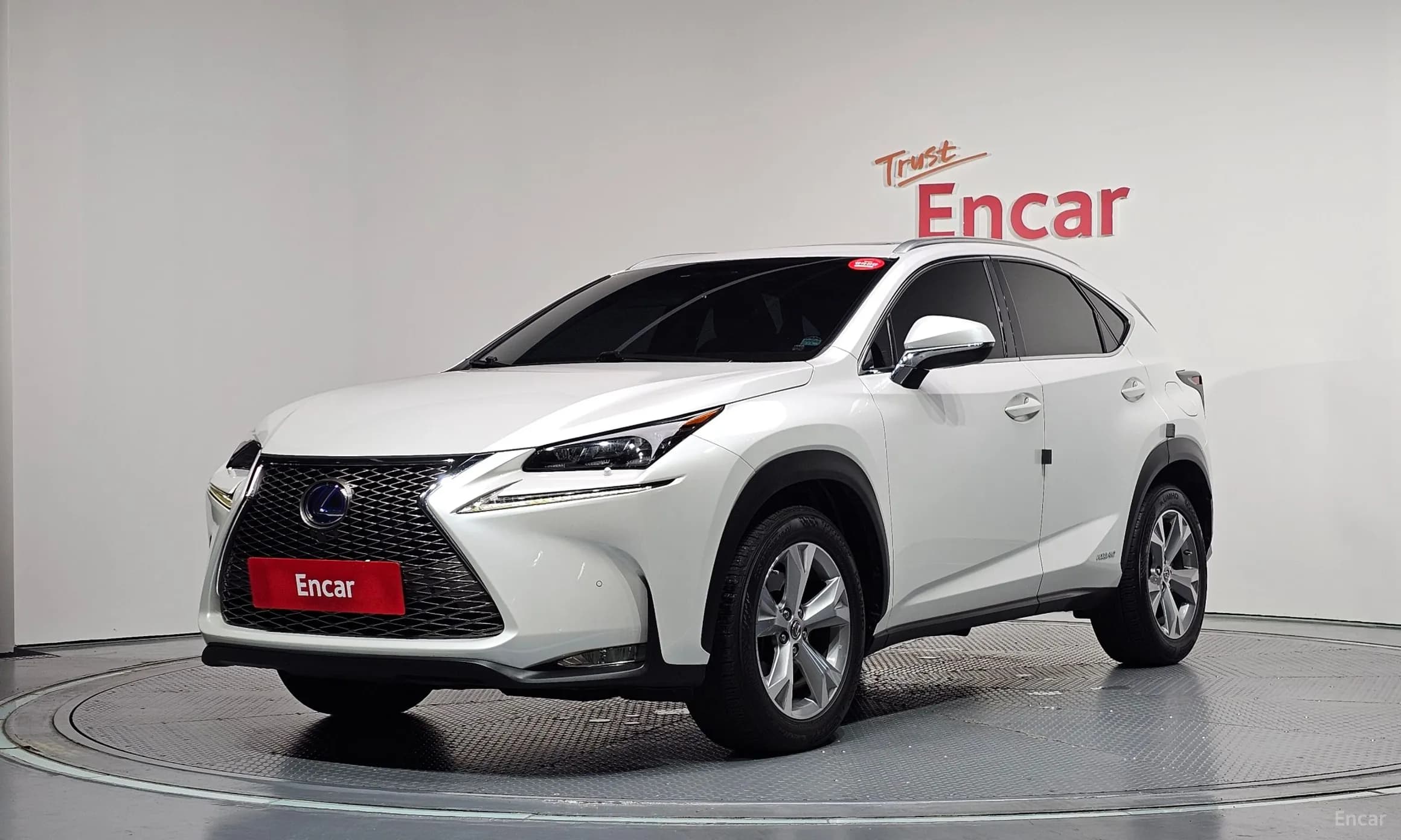 NX300h