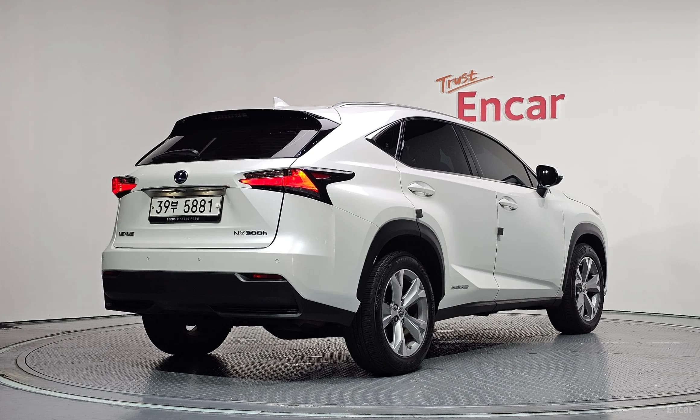 NX300h