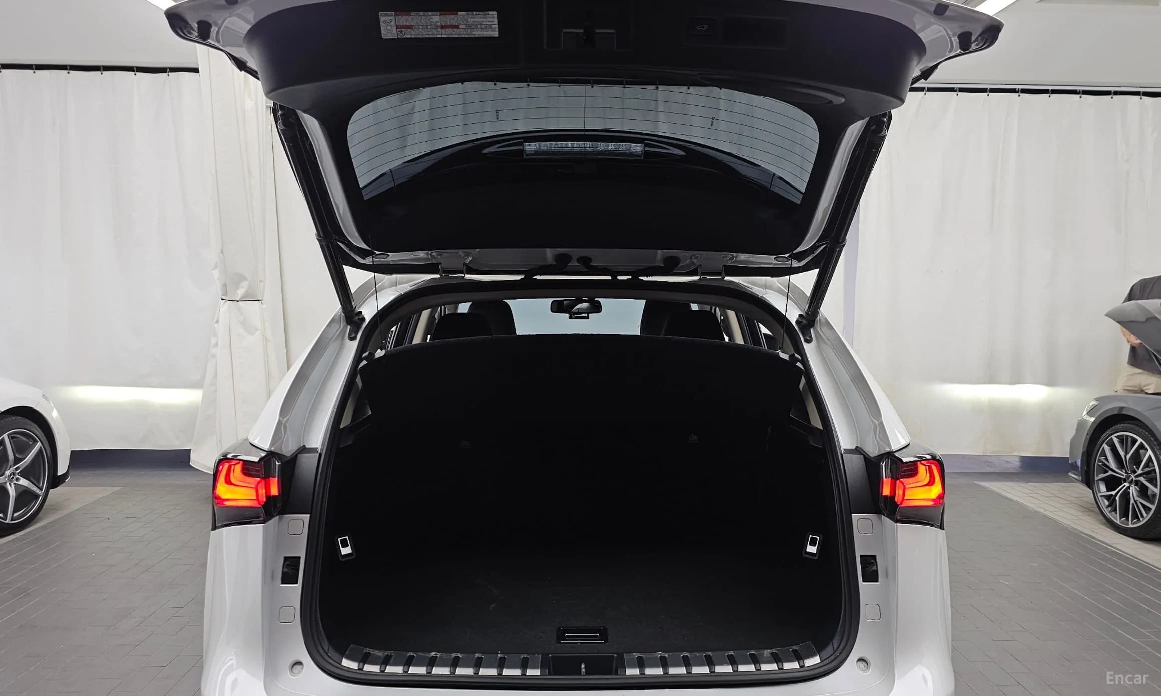 NX300h