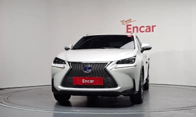 NX300h