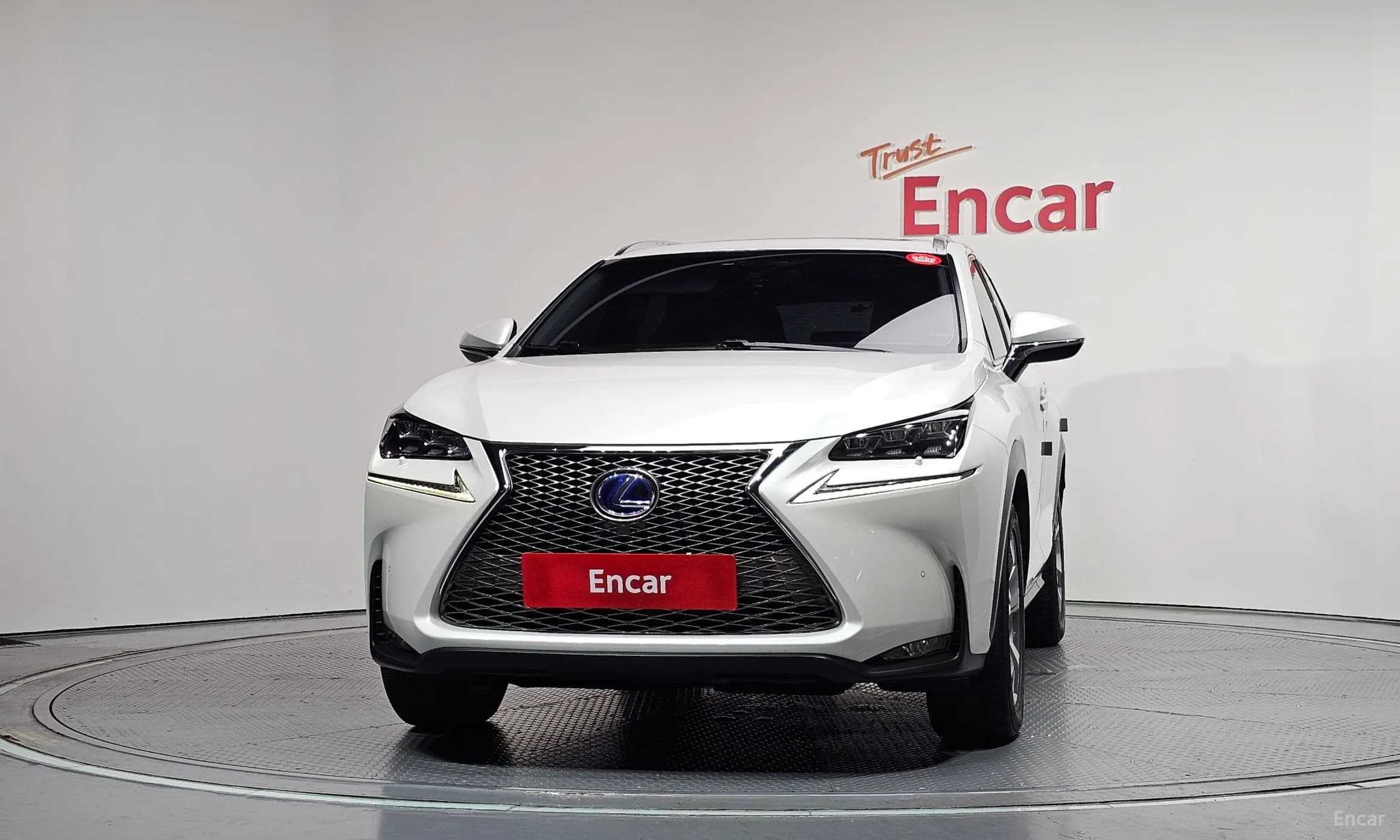 NX300h
