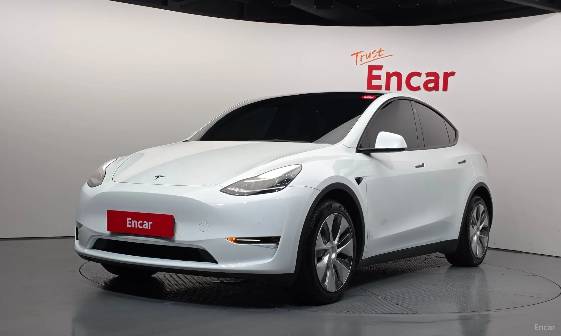 Model Y