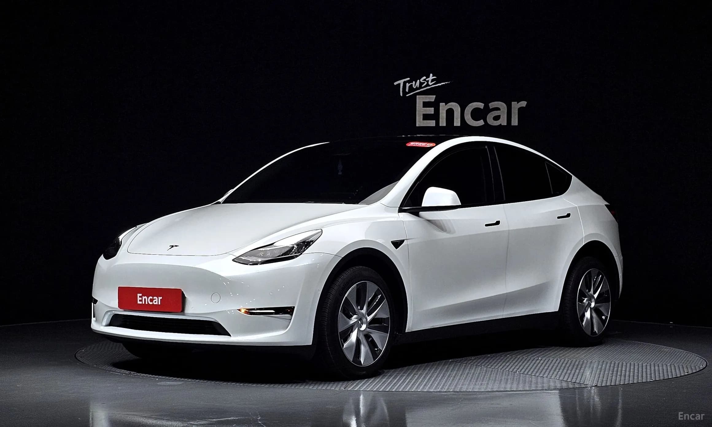 Model Y