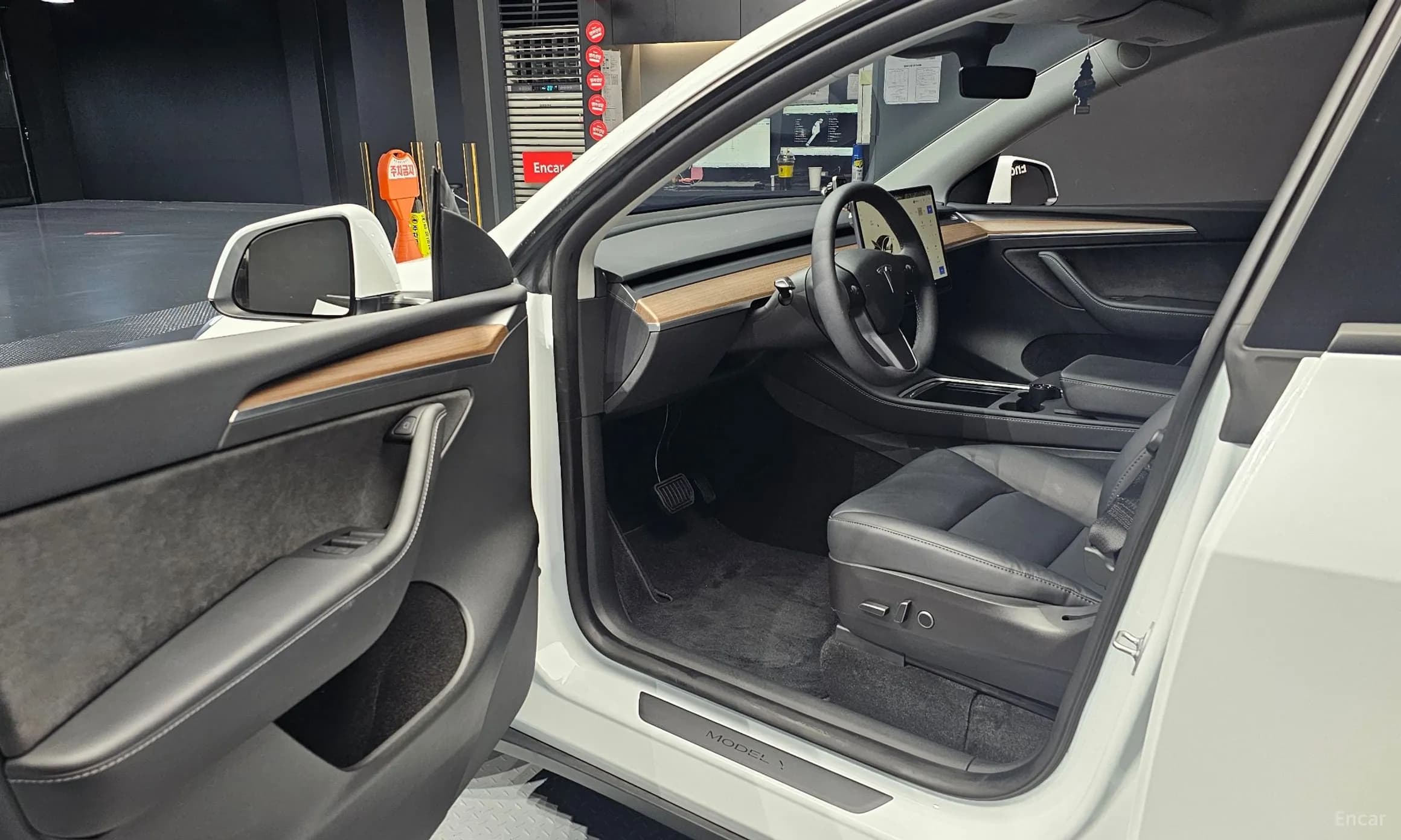 Model Y