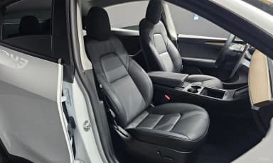 Model Y