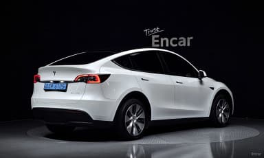 Model Y