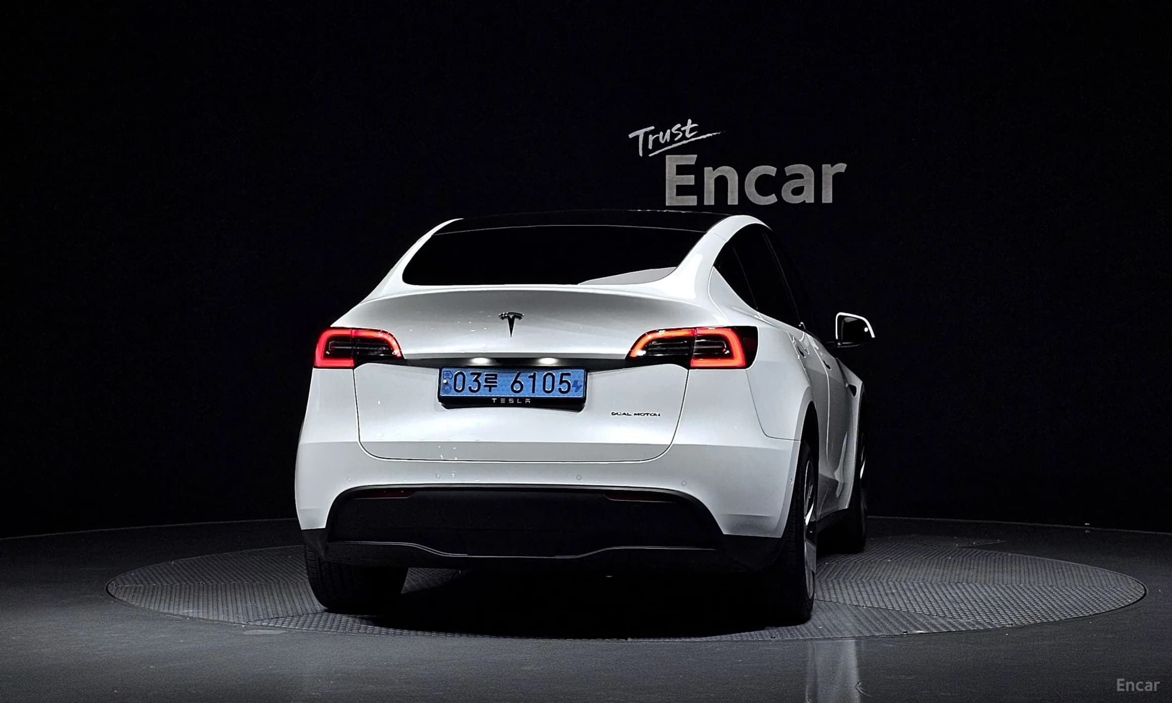 Model Y