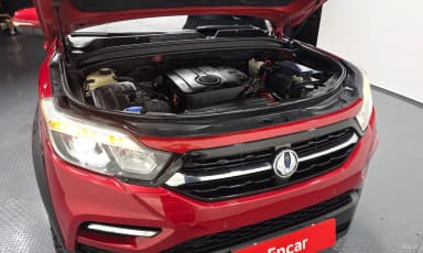 Rexton Sports