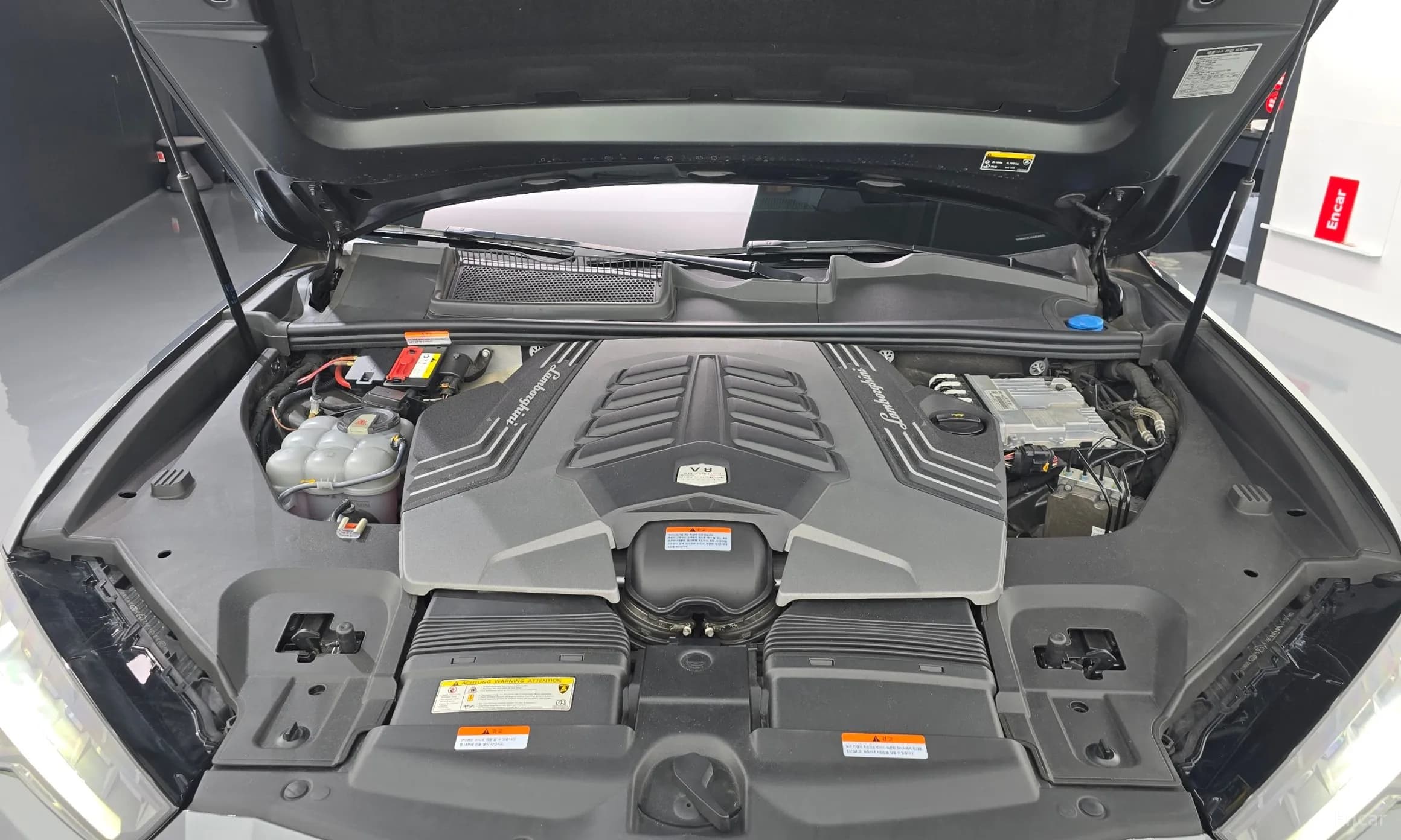 Urus