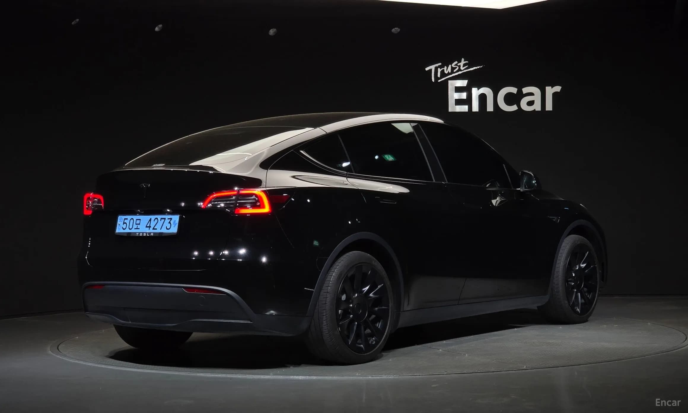 Model Y