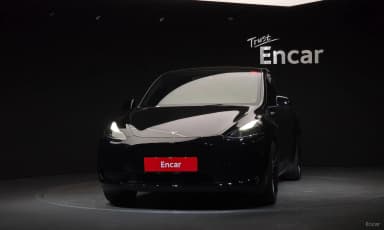 Model Y