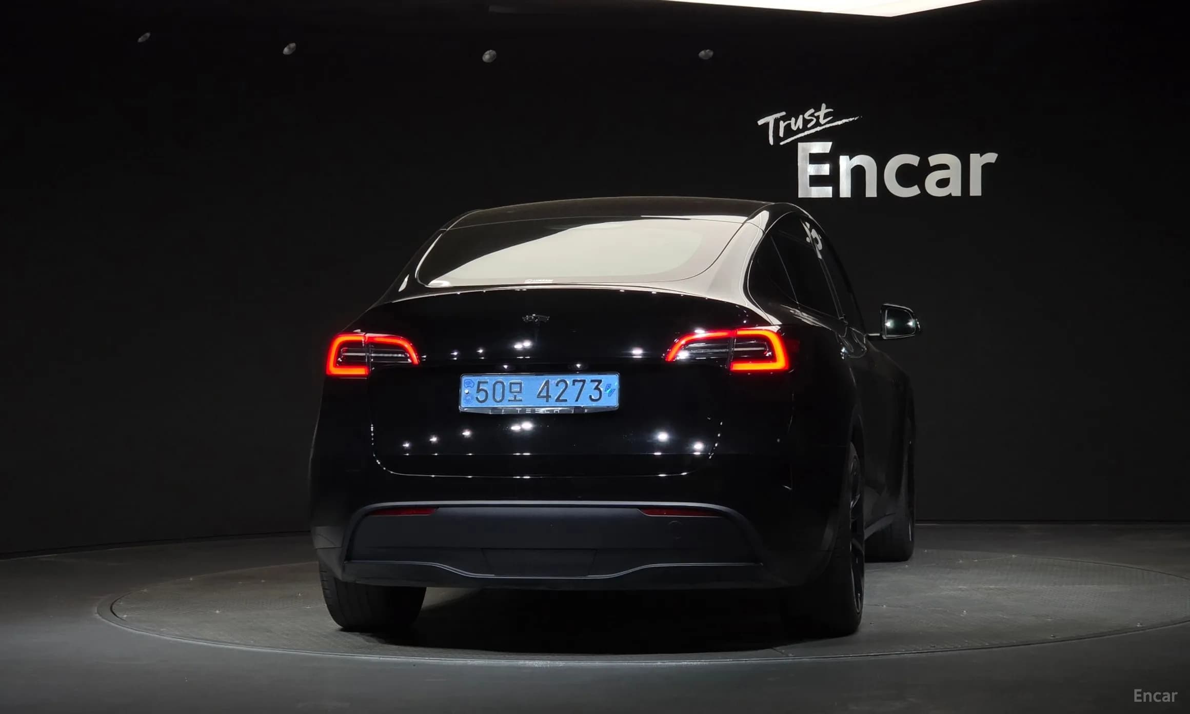 Model Y