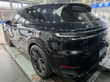 Cayenne (PO536)