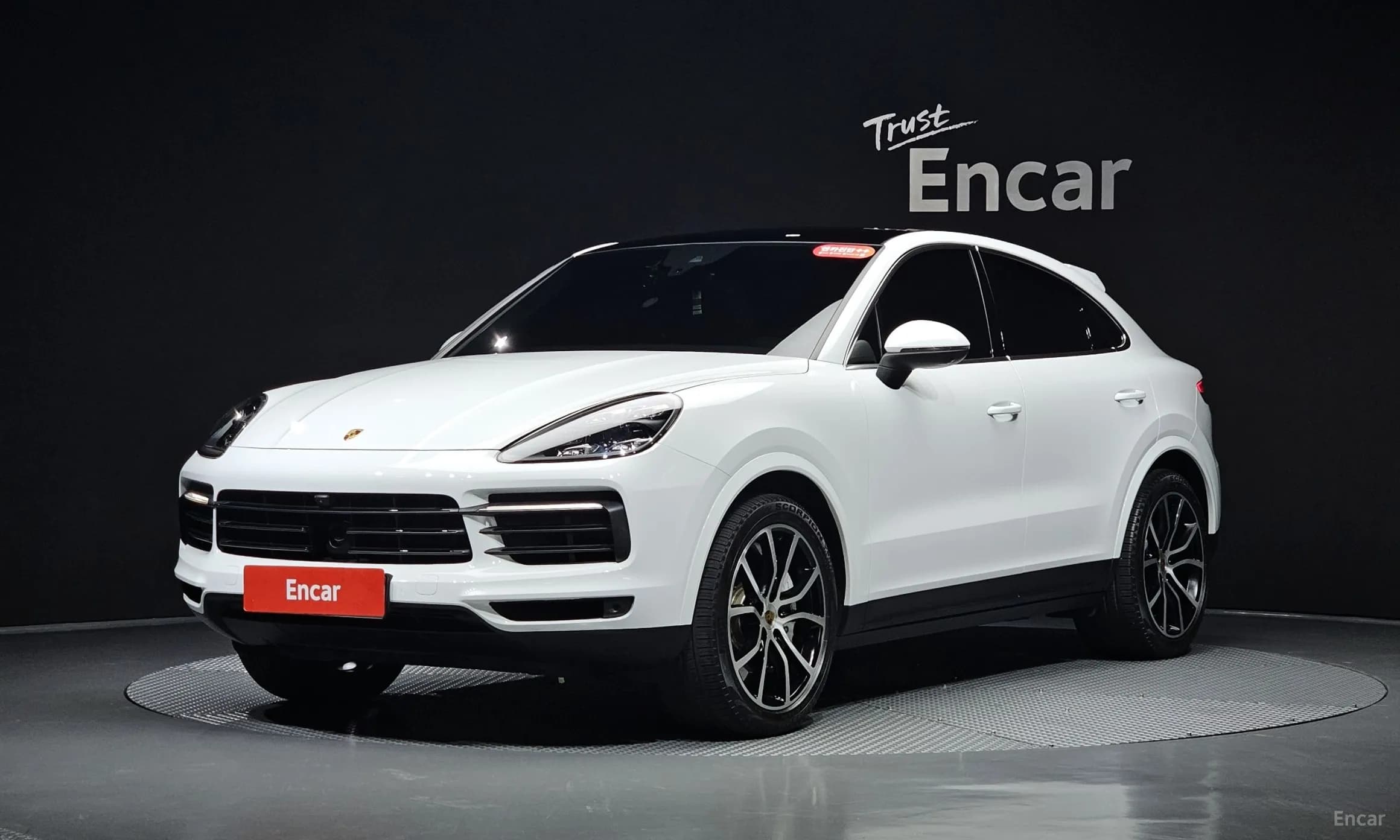 Cayenne (PO536)