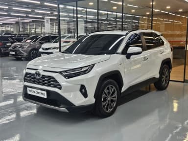 RAV4 5th Generation